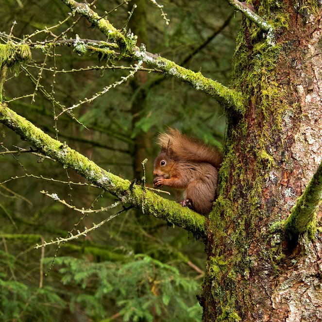 Yorkshire: A Year in the Wild - Photos