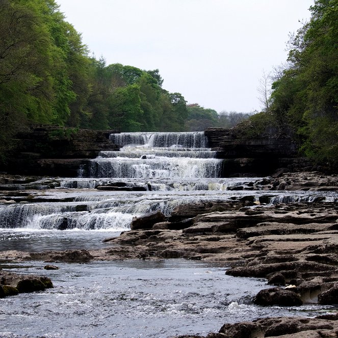 Yorkshire: A Year in the Wild - De la película