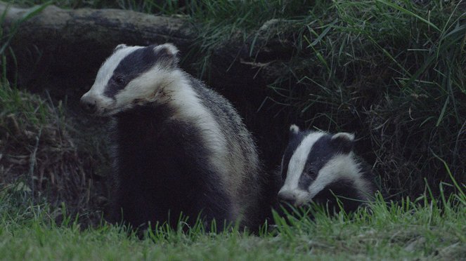 Yorkshire: A Year in the Wild - Filmfotos