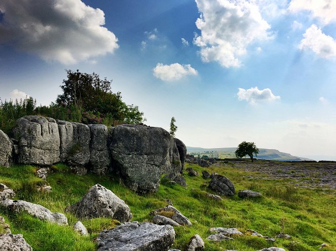 Yorkshire: A Year in the Wild - De la película