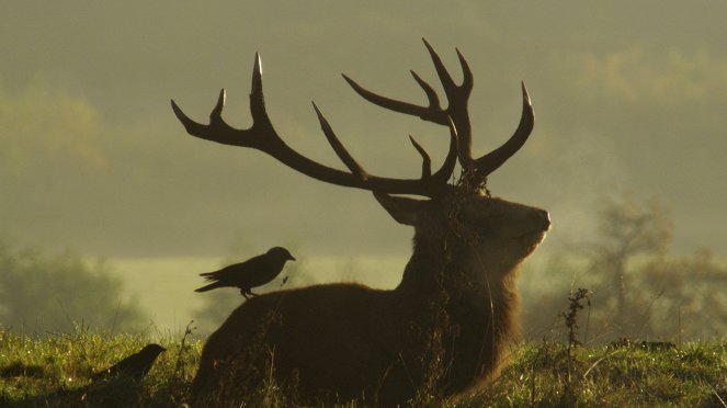 Anglia: Egy év a vadonban - Filmfotók