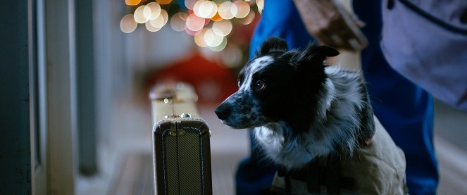 Christmas Break-In - Van film