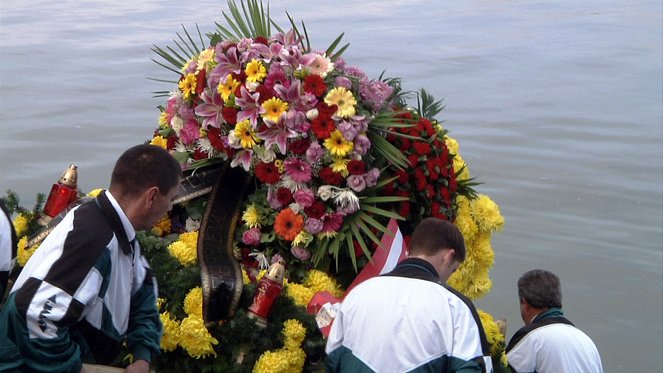 Der Tod muss ein Wiener sein - Photos