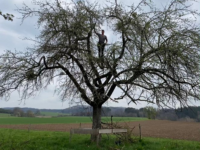 DokThema - Ackern unter Bäumen – Landwirte entdecken den Agroforst - Van film