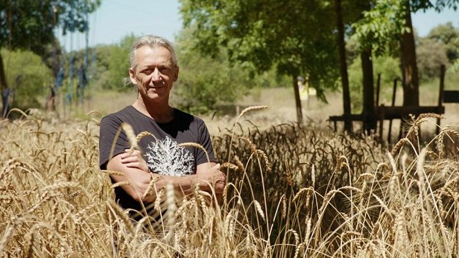 DokThema - Ackern unter Bäumen – Landwirte entdecken den Agroforst - Van film