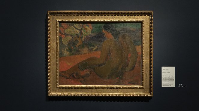 Exhibition on Screen: The Danish Collector - Delacroix to Gauguin - Van film