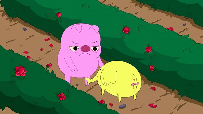 Adventure Time with Finn and Jake - Dream of Love - Photos