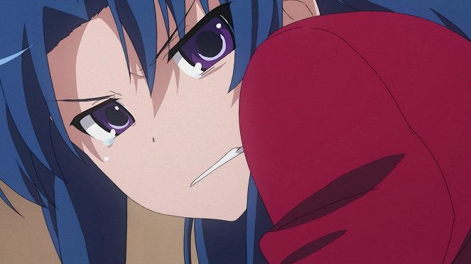 Toradora! - Vraie personnalité - Film