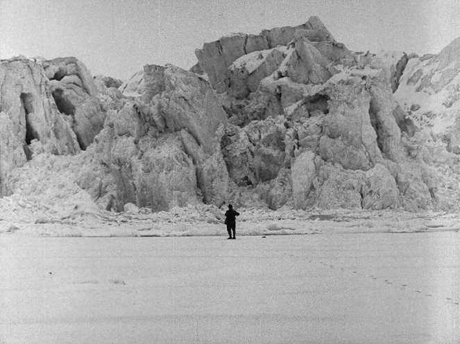 Mořský led - Z filmu