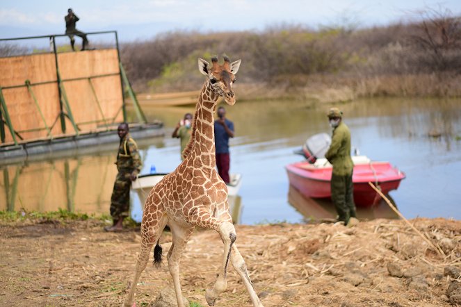 Saving Giraffes: The Long Journey Home - Van film