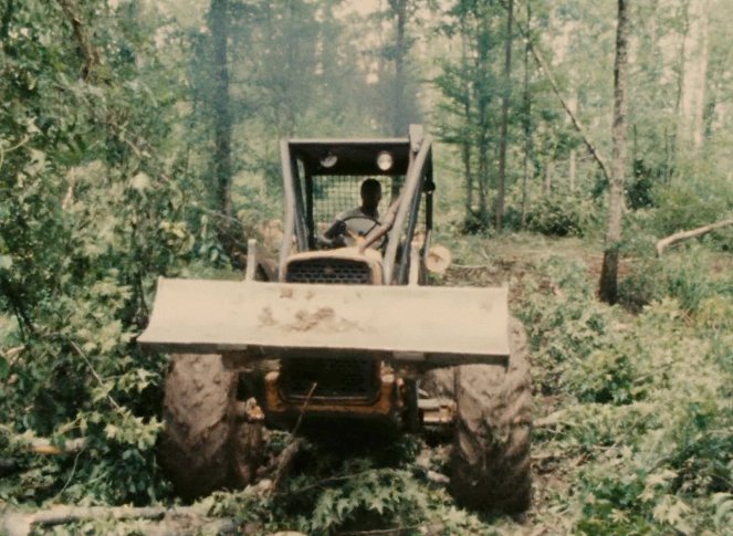 Woodcutters of the Deep South - Film