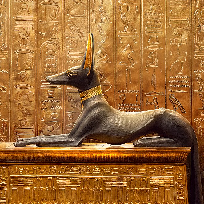 Tutanhamon sírjának feltárása - a 100. évforduló - Promóció fotók