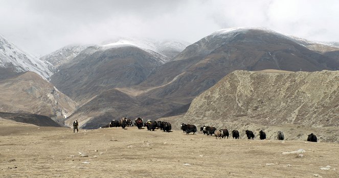 Ta'igara: An Adventure in the Himalayas - Filmfotók