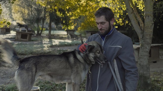 Pouta svobody - Film