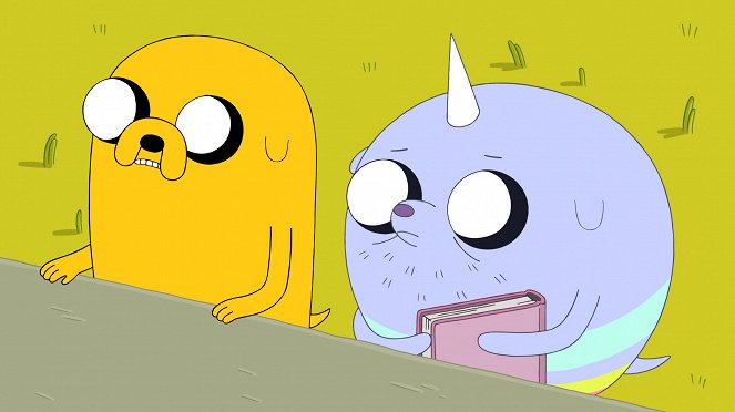 Adventure Time with Finn and Jake - The Diary - Van film