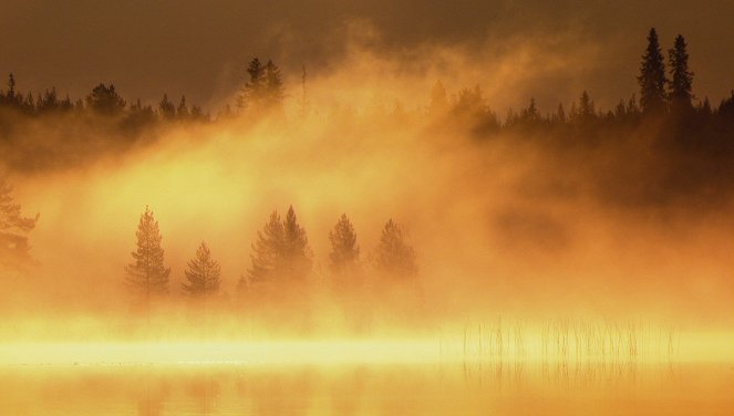 Wildes Skandinavien - Finnland – Inselmeer und Seenland - Kuvat elokuvasta