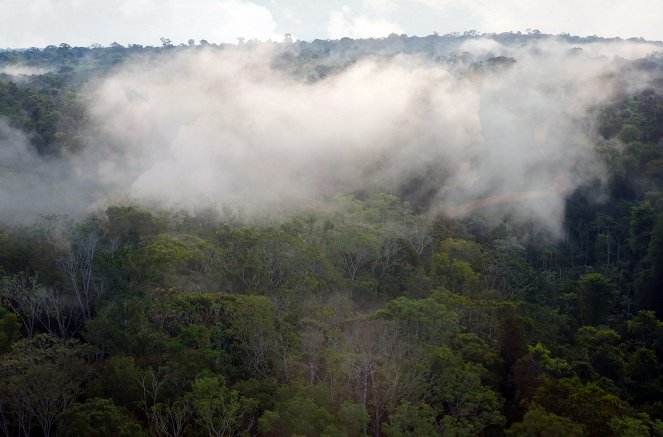Le Mystère des rivières volantes d'Amazonie - De la película