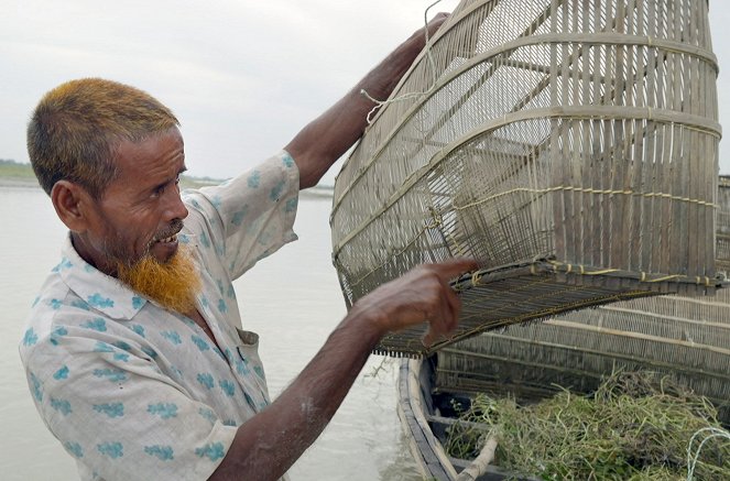 Die Chauras von Bangladesch - Leben zwischen Fluch und Segen - Photos