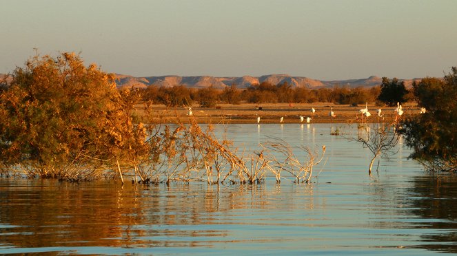 Stille Wasser sind tief - Der Nassersee - Wasser in den Weiten der Wüste - Filmfotos