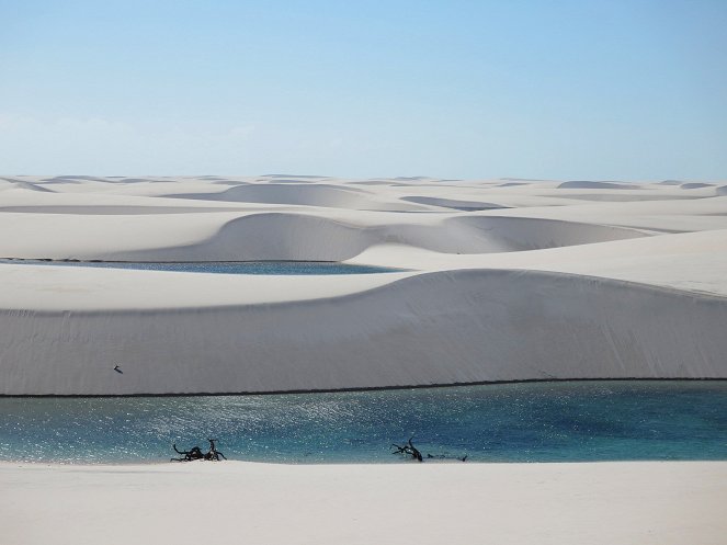 La Vie secrète des lacs - Lençóis Maranhenses, les lacs de sable - Van film