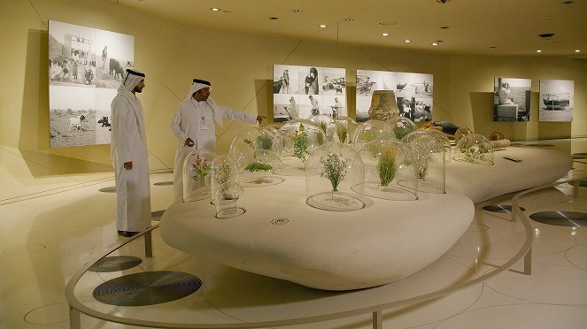 Universum: Qatar - Perlen im Sand - Kuvat elokuvasta