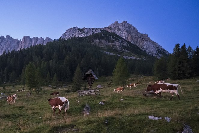 Heimatleuchten - Griaß Di und ciao – In den Karnischen Alpen - Filmfotos