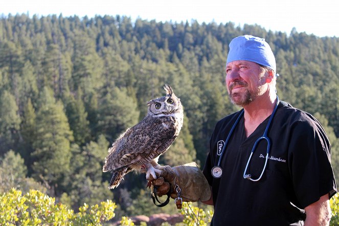The Wild Life of Dr. Ole - Photos