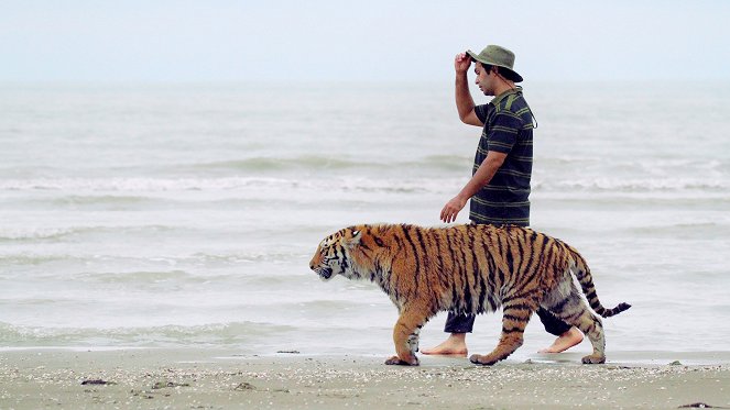Wenn Tiger träumen - Eine Geschichte aus dem Nord-Iran - Filmfotos