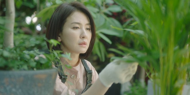 Kill Me Now - Van film - Il-hwa Lee