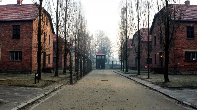 Infiltré à Auschwitz - Van film