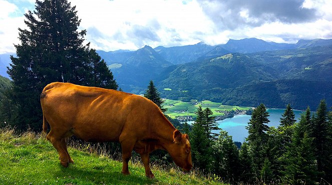 50 Gründe - 50 Gründe, Salzburg zu lieben - Z filmu