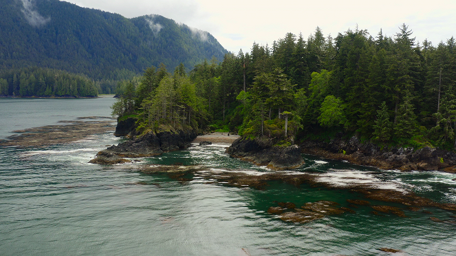 Os Lobos da Ilha de Vancouver - Verão - Do filme