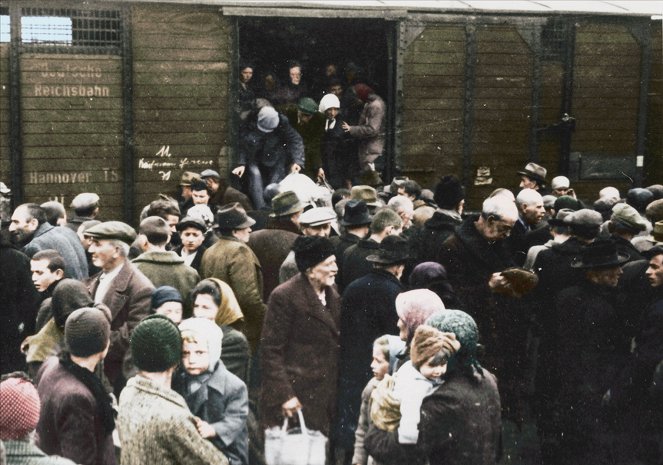 Auschwitz Untold in Color - Van film