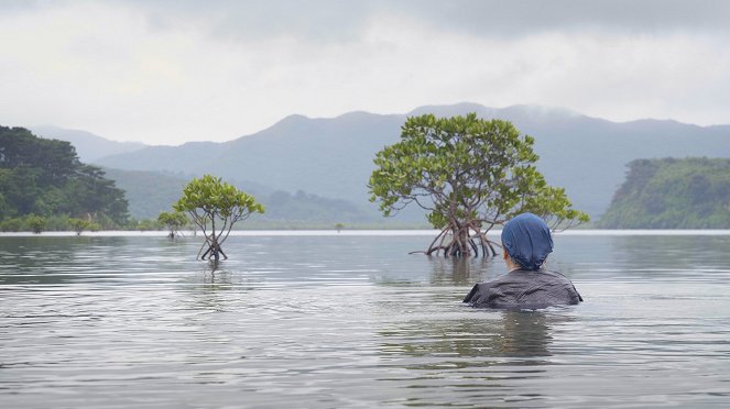 Universum: Iriomote – Japans tropisches Paradies - De la película