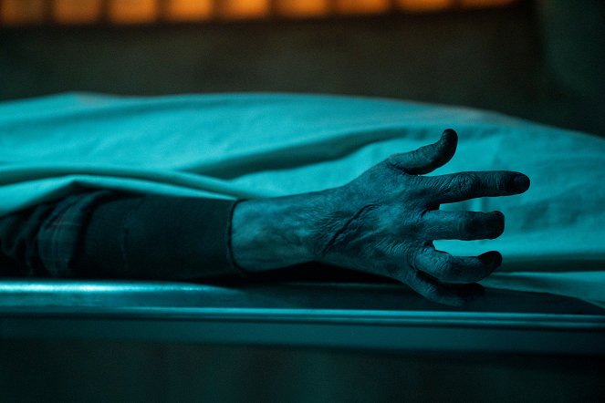 Guillermo del Toro's Cabinet of Curiosities - The Autopsy - Photos