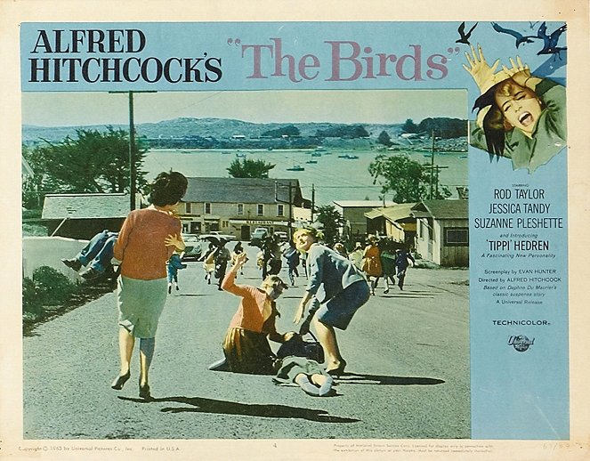Los pájaros - Fotocromos