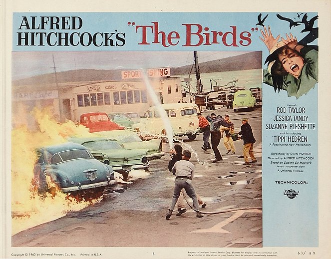The Birds - Lobbykaarten