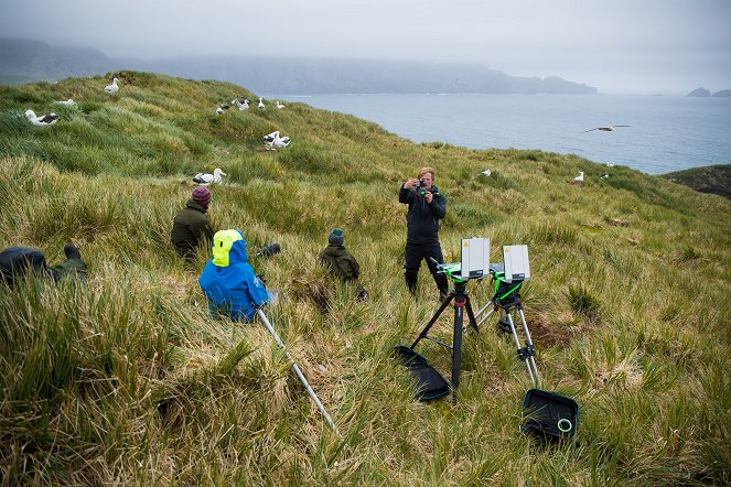 Polar Worlds with Bertie Gregory - Photos