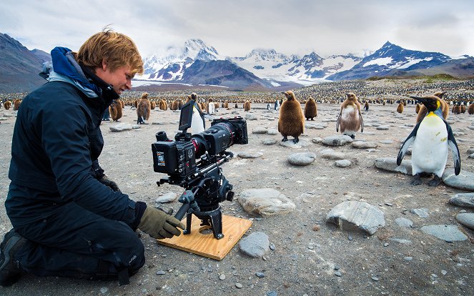 Polar Worlds with Bertie Gregory - Film