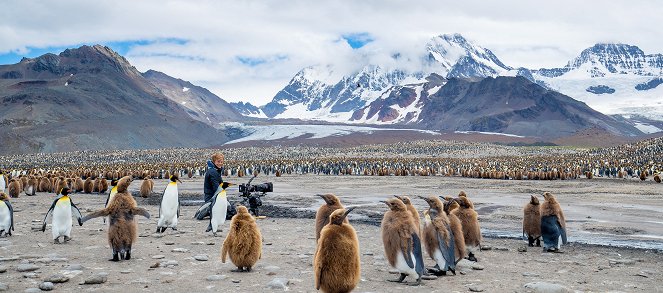 Polar Worlds with Bertie Gregory - Film