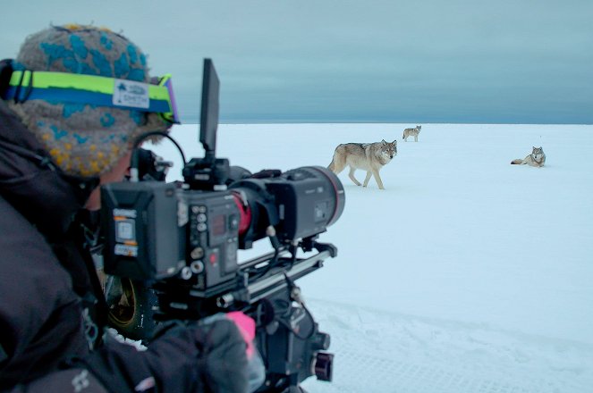 Polar Worlds with Bertie Gregory - Film