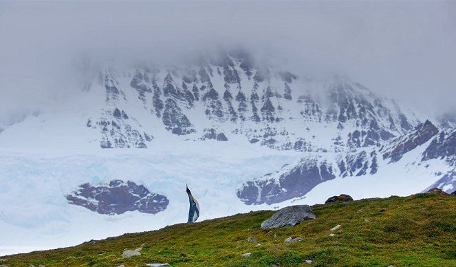 Polar Worlds with Bertie Gregory - Film