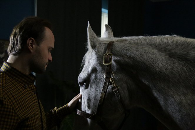 Kůň - Z filmu - Daniel Fischer