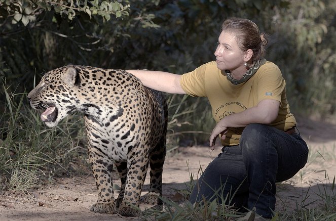 Eine wilde Familie - Ein Korridor für Jaguare - Kuvat elokuvasta