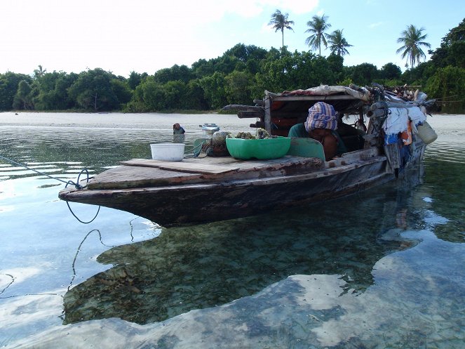 Ostrovy Malajsie - De la película
