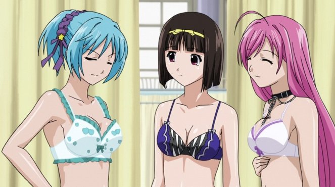 Rosario to Vampire - Šintai sokutei to vampire - Van film