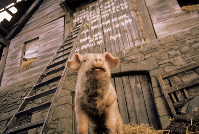 Animal Farm - Filmfotos