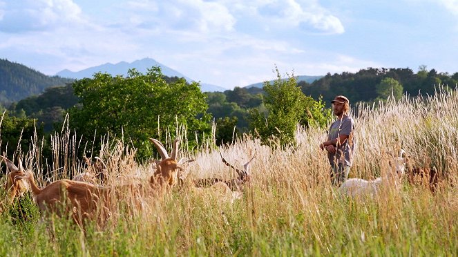 Hüter der Wildnis - Unterwegs mit Artenschützern - Kuvat elokuvasta