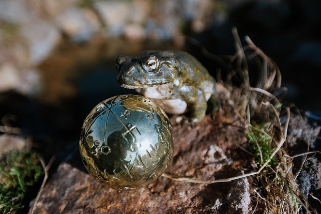 The Tale of the Frog and the Golden Orb - Photos