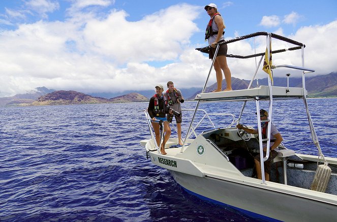 Hawaiis versteckte Paradiese - Z filmu